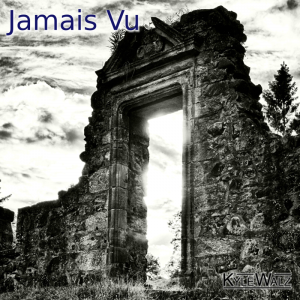 Jamais Vu 02 800x800